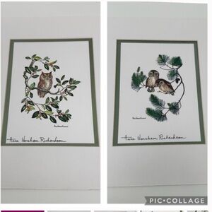 Anne Worsham Richardson Screech Owl and Saw Whet Owl
Signed Prints
